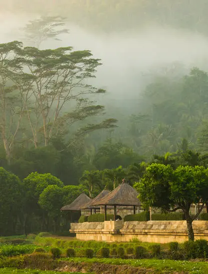 Garden Pool Suite at Amanjiwo with views across misty tropical forest and manicured grounds.