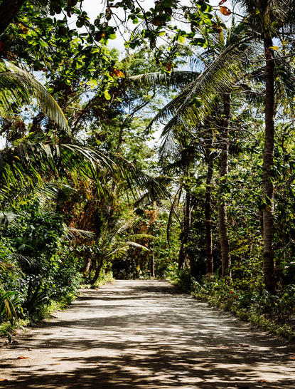 安缦璞乐度假村山坡小住宅区，绿树成荫的小径阳光洒落。