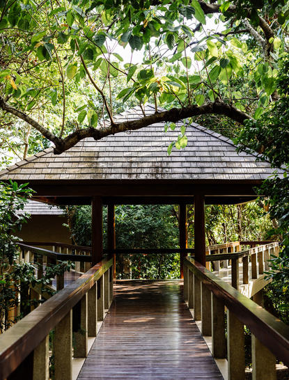 Wooden boardwalk leading to a treetop casita with pitched roof at Amanpulo, surrounded by dense tropical foliage.