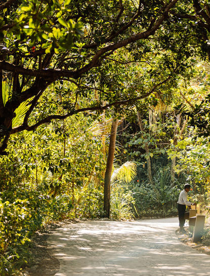 Shaded pathway through verdant trees at Amanpulo, dappled sunlight filtering through canopy onto stone walkway.