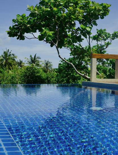 Plunge pool overlooking tropical gardens at Amanpulo resort, with a solitary tree and palm vegetation beyond.