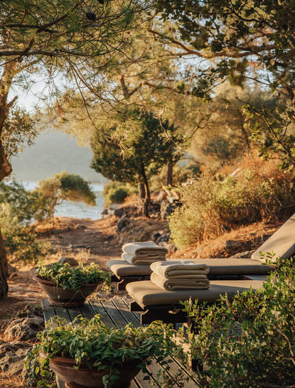 Amanruya's terrace shaded by golden-leafed trees, overlooking a coastal landscape below.