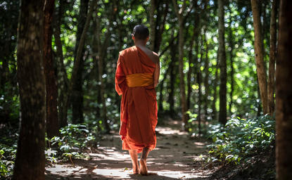Buddhist monk in saffron robes walking through forested path at Amansara.