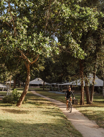 Shaded pathway through mature trees at Amanwana, with a figure walking in dappled sunlight.