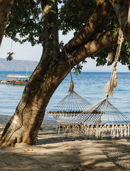 Ocean-view tent beneath an ancient tree at Amanwana, with rope swing and wooden platform on the beach.