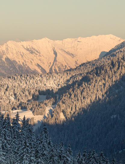 Snow-covered alpine peaks and forested slopes at Aman Le Mélézin, French Alps.