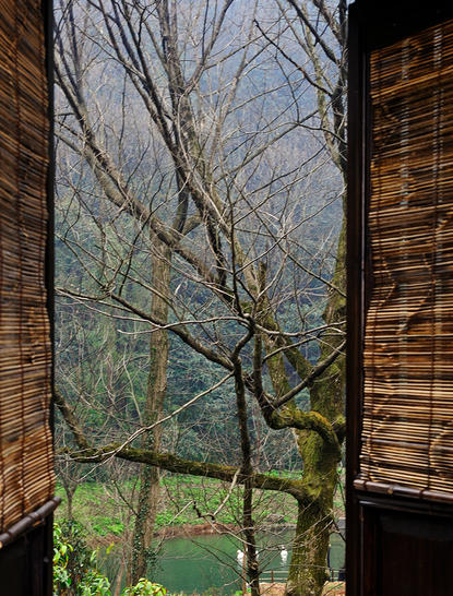 法云安缦度假村的豪华村套房，透过木框窗户可见裸露的树枝和远处绿色山谷。