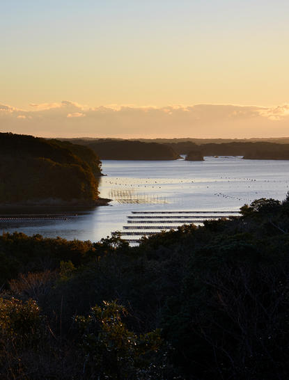 アマネム リゾートの敷地から見た、夕暮れ時の穏やかな湾の眺め。