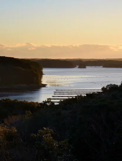 Sunset light reflects across a tranquil bay at Amanemu, with forested hillsides framing the water below.