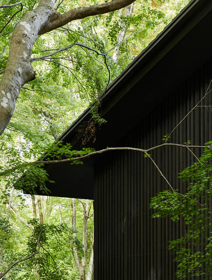 A black corrugated metal structure at Aman Kyoto with overhanging green foliage and natural light filtering through tree canopy above.