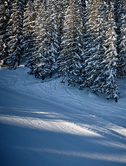 Snow-covered piste lined with frost-laden trees at Aman Le Mélézin, French Alps.