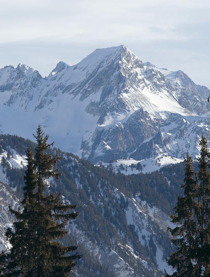 Snow-covered alpine peak framed by evergreen trees at Aman Le Mélézin resort, France.
