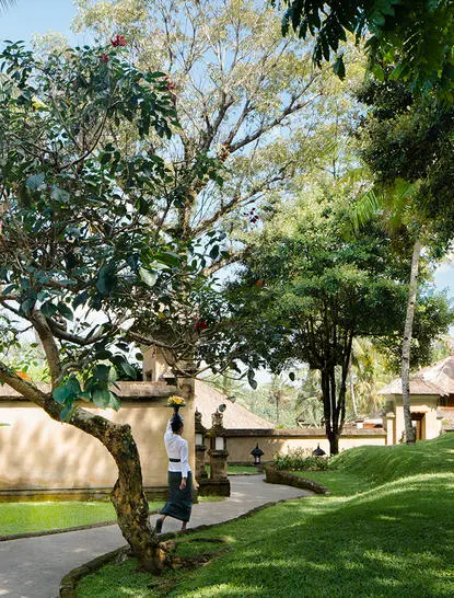 Village suite garden at Amandari, with a guest seated on a bench beneath mature trees.
