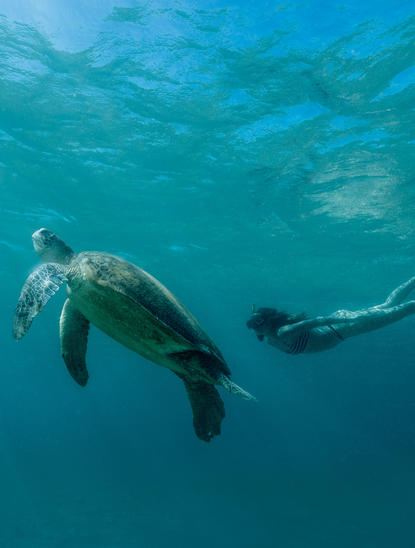 Snorkeler with a sea turtle at Amanpulo, Palawan Island