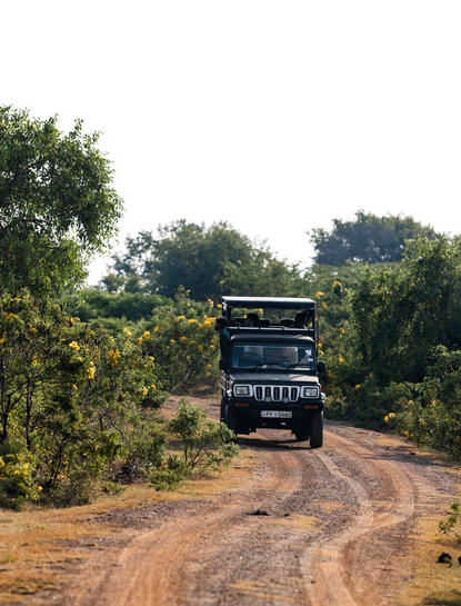 Blue truck navigating a winding dirt road through verdant woodland at Amanwella.