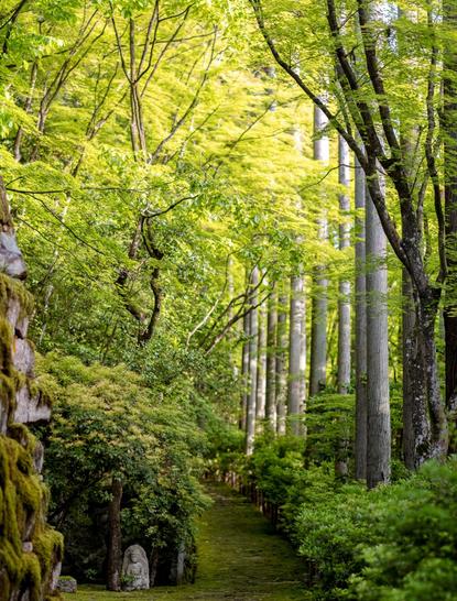 Aman Kyoto Fresh Green