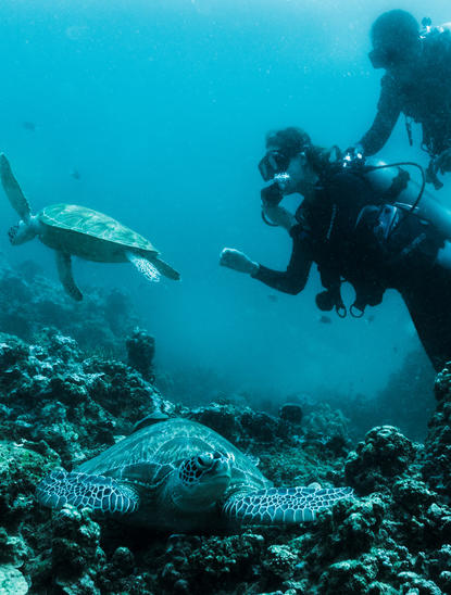 アマンプロ リゾートでのダイビング体験で、ダイバーが海中の珊瑚礁を探索している。