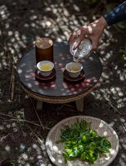 Dégustation de thé vert matcha à Aman Kyoto, avec deux bols de céramique et un bol de feuilles fraîches sur une table en pierre.