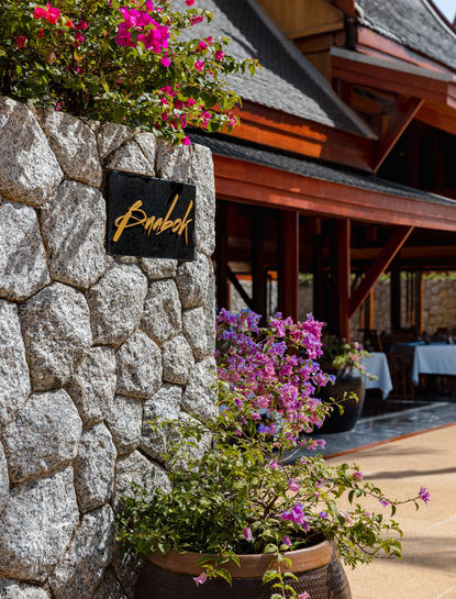 Bougainvillea fiorita arrampicata su muro in pietra bianca presso la resort Amanpuri, Tailandia.