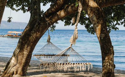 安缦湾澜度假村海滩上，一棵大树下挂着木制秋千，俯瞰蔚蓝海水。