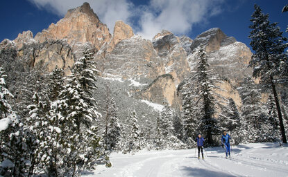 Snowy mountain landscape with evergreen trees at Aman Rosa Alpina resort, Dolomites.