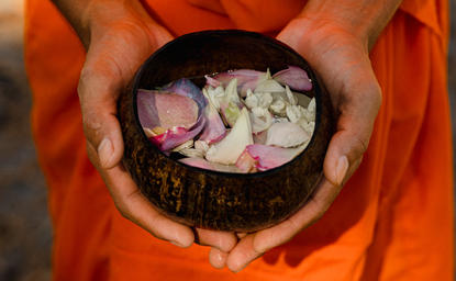 Buddhist monk holding bowl of flower petals during water blessing ceremony at Amansara, Cambodia.
