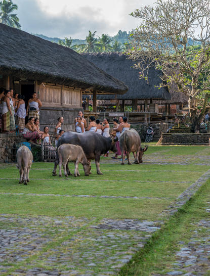 安缦丘澜度假村中庭，宾客在传统建筑前的草坪上聚集交流。