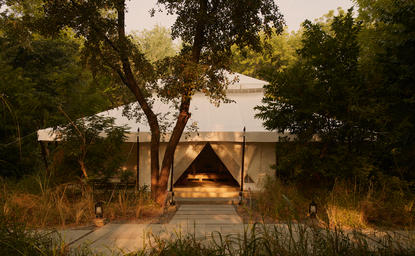 Cream canvas tent exterior at Aman-i-Khas, India, lit warmly at dusk amongst trees and golden grasses.