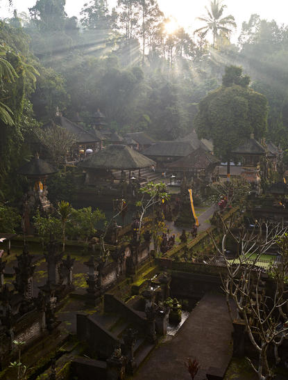 Morning mist rises through forested valley at Amanwana, Indonesia, revealing terraced landscape below.