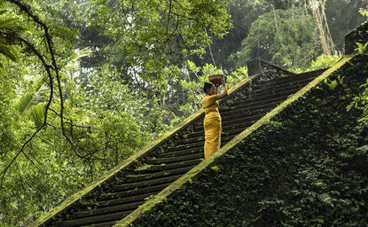 Stone temple stairs ascend through verdant jungle canopy at Amandari resort, Indonesia.