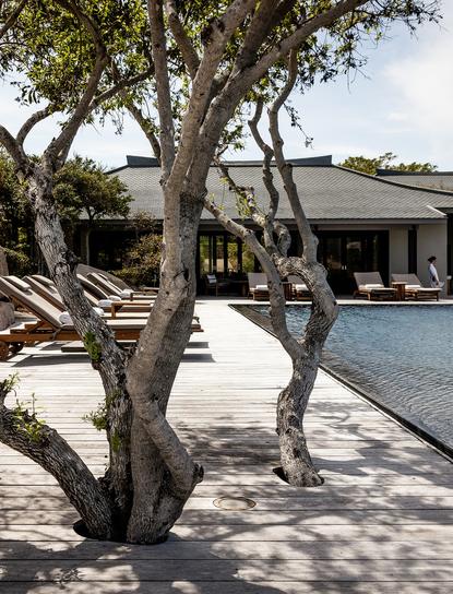Amanoi resort의 수영장 구역에서 그늘진 나무 아래 편안한 휴식 공간.