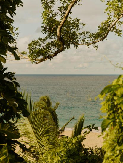 Bay view from a casita at Amanera, framed by tropical foliage and trees.