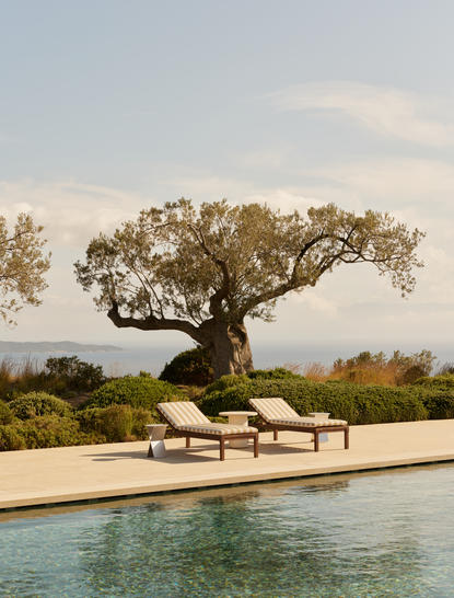 安缦卓熠度假村的泳池畔，一棵古老橄榄树下放置着日光浴床。