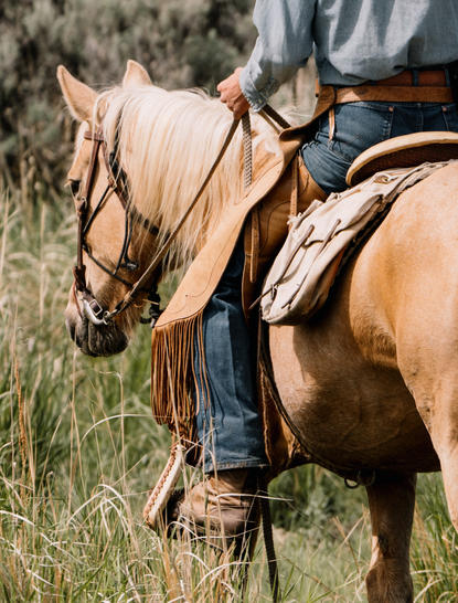 Saddled horse ready for riding at Amangani, Jackson Hole.