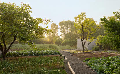 Winding pathway through lush gardens at Amanyangyun, China, with mature trees and morning light filtering through foliage.