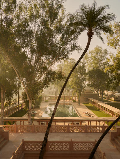 Curved palm tree framing the grounds at Amanbagh, India, with terracotta pathways beyond.