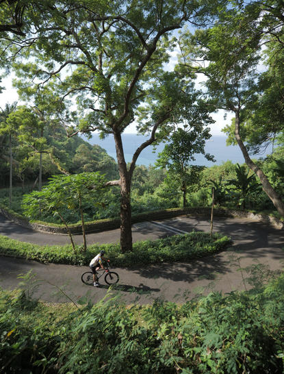 アマンキラ リゾートでのサイクリング体験。熱帯の庭園を自転車で進む宿泊客。