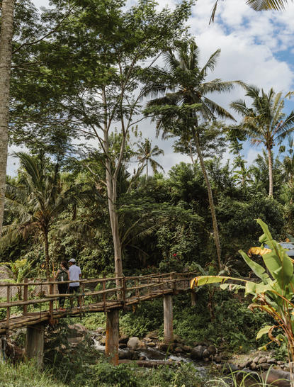 Trekking path through lush tropical gardens at Amankila, lined with tall trees and verdant vegetation.