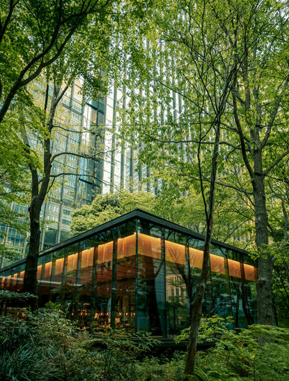 The Cafe by Aman forest exterior, a modern wooden structure nestled among tall trees at Aman Tokyo.