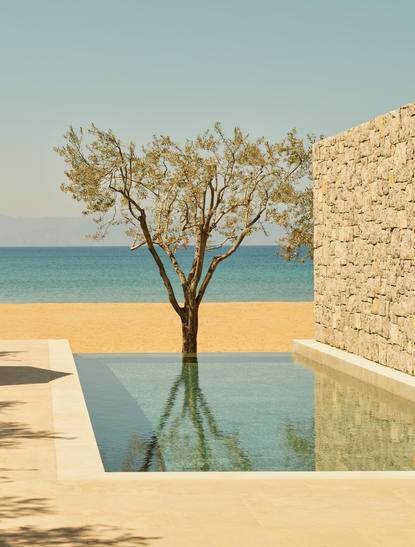 Solitary tree reflected in still water at Amanzoe beach club cabana, overlooking Aegean Sea.