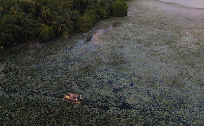 Shallow lotus lagoon at Amanwella, Sri Lanka, with a lone boat on still water surrounded by lush vegetation.