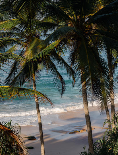 Coconut palms framing a sandy beach at Amanwella, Sri Lanka, with gentle waves meeting the shore.