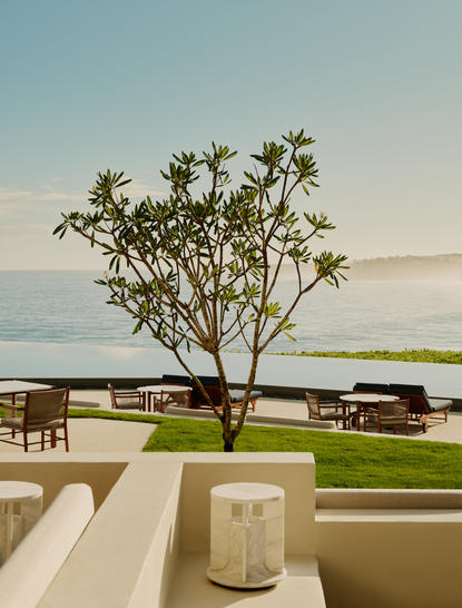 Solitary tree overlooking the sea at Amanera, with seating area and lantern in foreground.