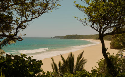 Playa de arena blanca y aguas turquesas en Amanera resort, enmarcada por vegetación costera.