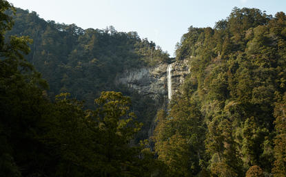 熊野古道山林中的瀑布，安缦伊沐度假村景观。
