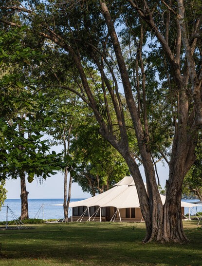 Ocean tent at Amanwana nestled beneath towering trees with sea view beyond.