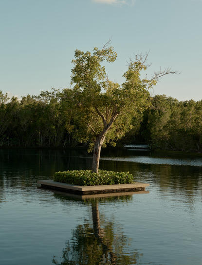 Solitary tree reflected in calm lagoon waters at Amanyara.
