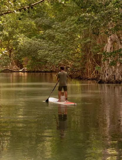 Guest paddle-boarding on calm waters surrounded by lush vegetation at Amanera, Dominican Republic.