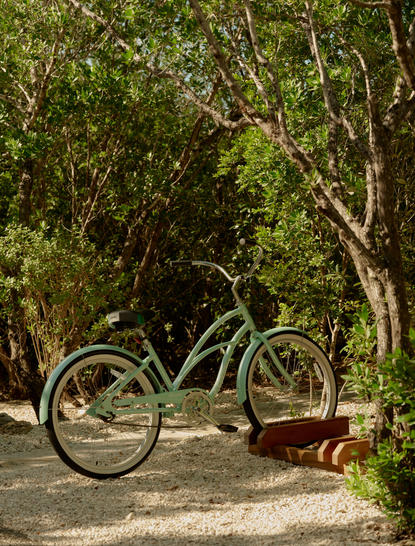 Bicycle parked on a shaded path lined with trees at Amanyara, Turks and Caicos.