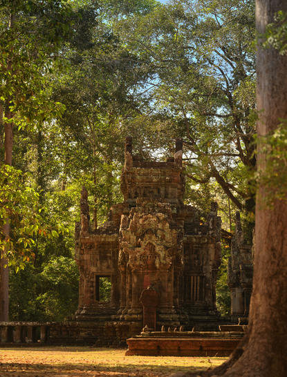 Angkor temple ruins framed by towering trees at Amansara, Cambodia.